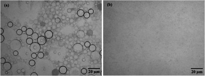 https://cdn.ncbi.nlm.nih.gov/pmc/blobs/1201/11873253/6e61de38dd5b/41598_2025_92246_Fig15_HTML.jpg