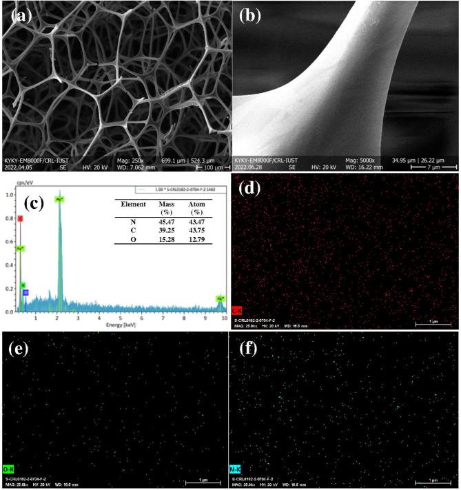 https://cdn.ncbi.nlm.nih.gov/pmc/blobs/1201/11873253/9c8e8d3d9686/41598_2025_92246_Fig5_HTML.jpg