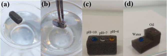 https://cdn.ncbi.nlm.nih.gov/pmc/blobs/1201/11873253/de458df495f9/41598_2025_92246_Fig10_HTML.jpg