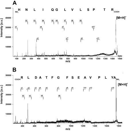 https://cdn.ncbi.nlm.nih.gov/pmc/blobs/1202/1762392/df3cd99e6a6a/pone.0000040.g005.jpg
