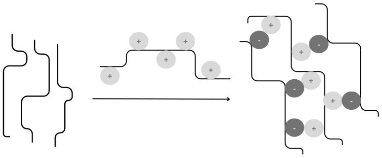 https://cdn.ncbi.nlm.nih.gov/pmc/blobs/1206/11173946/1f57cc217d78/materials-17-02774-g007.jpg