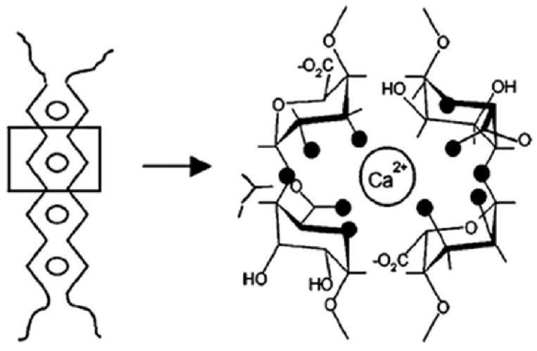 https://cdn.ncbi.nlm.nih.gov/pmc/blobs/1206/11173946/b788a2ab03f0/materials-17-02774-g013.jpg