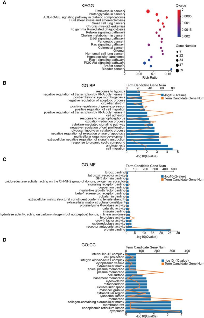 https://cdn.ncbi.nlm.nih.gov/pmc/blobs/1206/8792448/34d239481de0/fonc-11-784096-g002.jpg