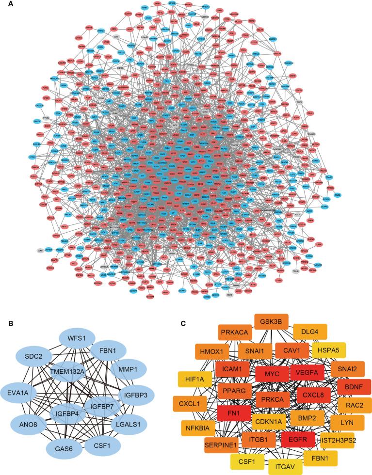 https://cdn.ncbi.nlm.nih.gov/pmc/blobs/1206/8792448/4bb7aa5c3f81/fonc-11-784096-g003.jpg