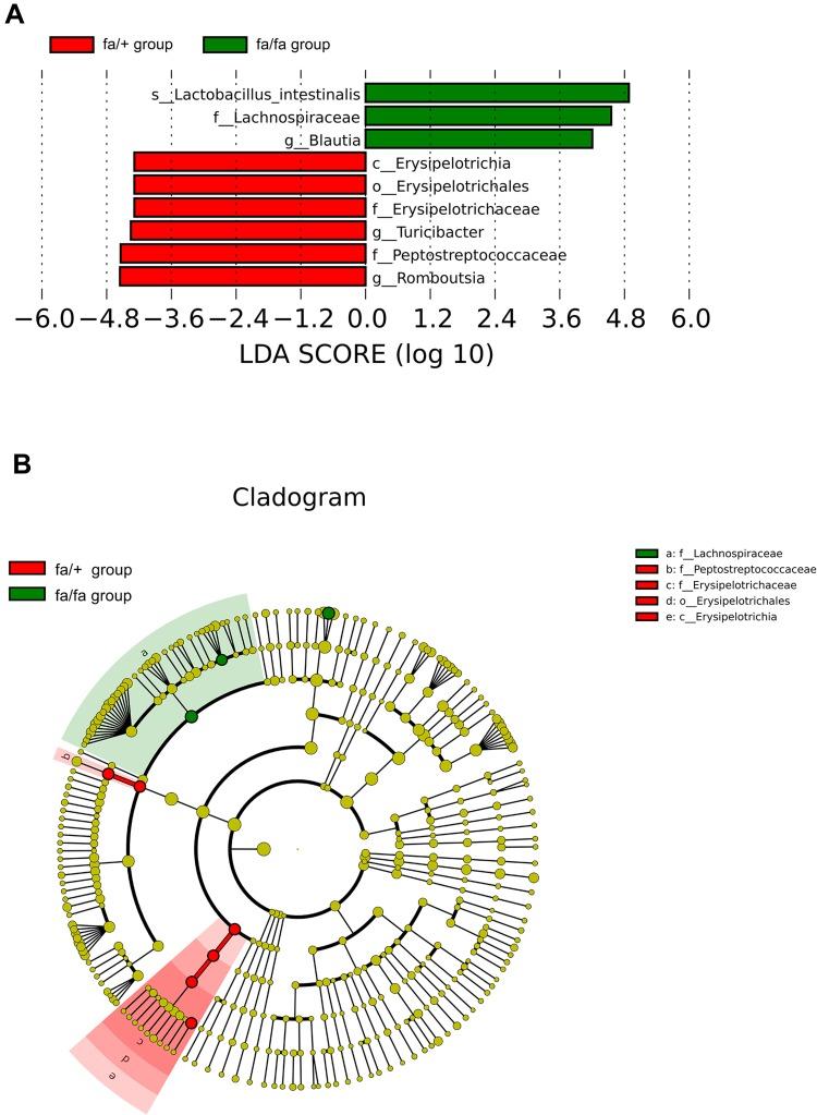 https://cdn.ncbi.nlm.nih.gov/pmc/blobs/1207/7090210/888982d43418/DMSO-13-835-g0003.jpg