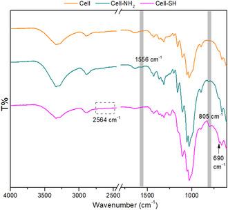 https://cdn.ncbi.nlm.nih.gov/pmc/blobs/1209/12143459/2eeca7f594eb/CPLU-90-e202400707-g009.jpg