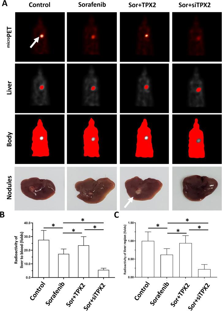 https://cdn.ncbi.nlm.nih.gov/pmc/blobs/120a/9883482/4005c1312526/41419_2022_5537_Fig7_HTML.jpg