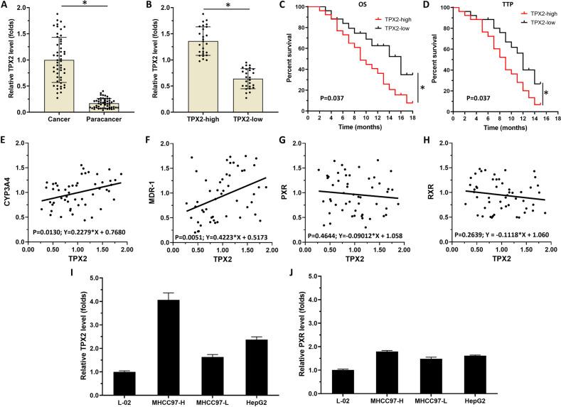 https://cdn.ncbi.nlm.nih.gov/pmc/blobs/120a/9883482/932c24a3cd86/41419_2022_5537_Fig1_HTML.jpg