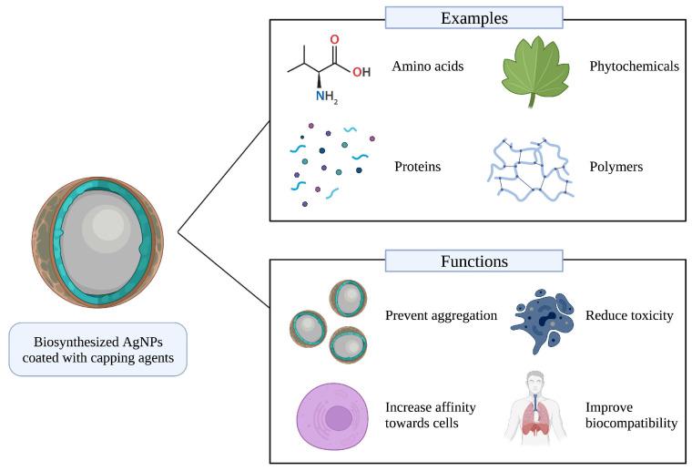 https://cdn.ncbi.nlm.nih.gov/pmc/blobs/120a/9953519/0b84d7ef076e/biomedicines-11-00389-g004.jpg