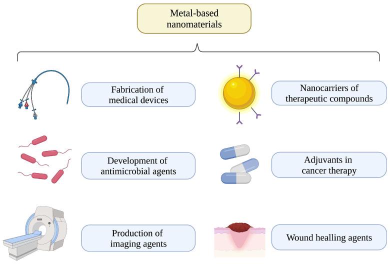 https://cdn.ncbi.nlm.nih.gov/pmc/blobs/120a/9953519/afe479364d00/biomedicines-11-00389-g002.jpg