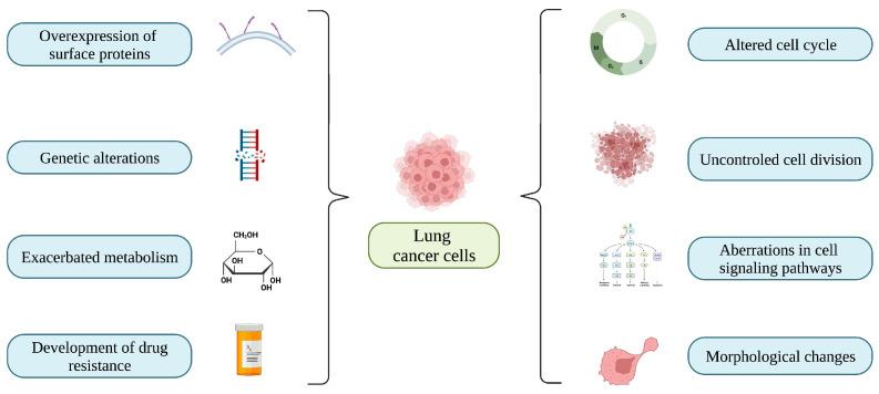 https://cdn.ncbi.nlm.nih.gov/pmc/blobs/120a/9953519/fd9484085ebf/biomedicines-11-00389-g001.jpg