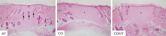 https://cdn.ncbi.nlm.nih.gov/pmc/blobs/120b/10878269/06a4391727f4/VETMED-68-01-121101-g004.jpg