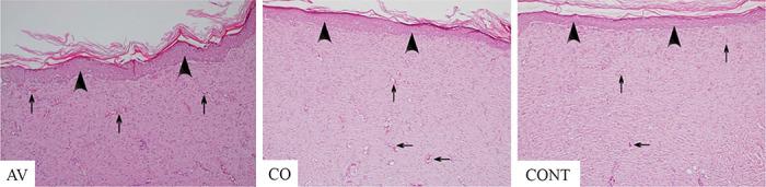 https://cdn.ncbi.nlm.nih.gov/pmc/blobs/120b/10878269/1d29a19cdfb3/VETMED-68-01-121101-g006.jpg
