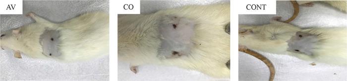https://cdn.ncbi.nlm.nih.gov/pmc/blobs/120b/10878269/968ae07bcde8/VETMED-68-01-121101-g001.jpg