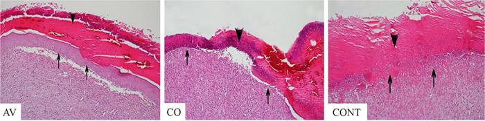 https://cdn.ncbi.nlm.nih.gov/pmc/blobs/120b/10878269/aef96860e87d/VETMED-68-01-121101-g003.jpg