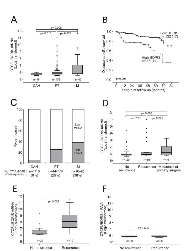 https://cdn.ncbi.nlm.nih.gov/pmc/blobs/120b/4011582/aa4b72d310de/oncotarget-05-1052-g002.jpg