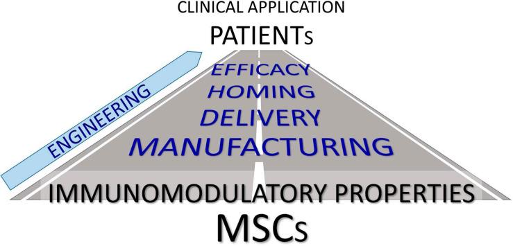 https://cdn.ncbi.nlm.nih.gov/pmc/blobs/120d/8007911/297147af70fc/fcell-09-650664-g001.jpg