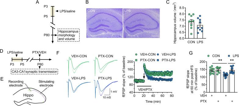 https://cdn.ncbi.nlm.nih.gov/pmc/blobs/1211/9872321/11ed5de7ffa5/12974_2023_2697_Fig2_HTML.jpg