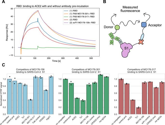 https://cdn.ncbi.nlm.nih.gov/pmc/blobs/1212/11222437/928bfdc4ef62/42003_2024_6508_Fig5_HTML.jpg