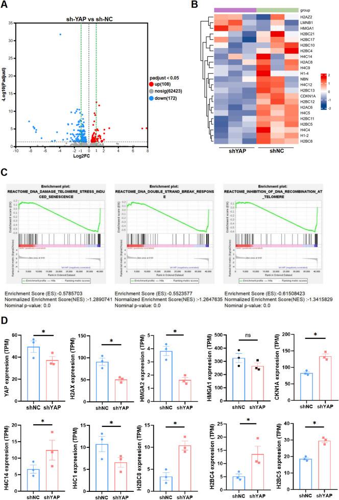 https://cdn.ncbi.nlm.nih.gov/pmc/blobs/1212/11790555/4ef496932575/fcell-13-1479960-g005.jpg