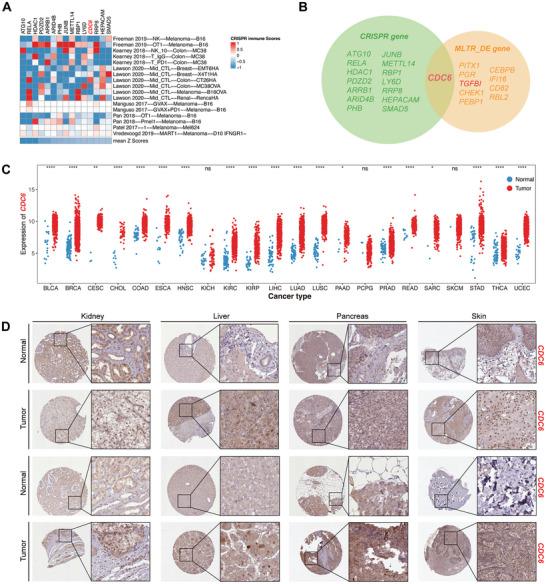 https://cdn.ncbi.nlm.nih.gov/pmc/blobs/1214/11831569/14fb357f8da3/ADVS-12-2406624-g004.jpg