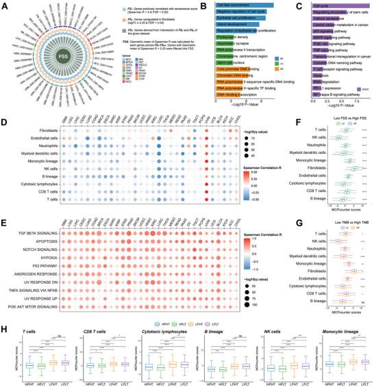 https://cdn.ncbi.nlm.nih.gov/pmc/blobs/1214/11831569/36a13bed69cf/ADVS-12-2406624-g006.jpg