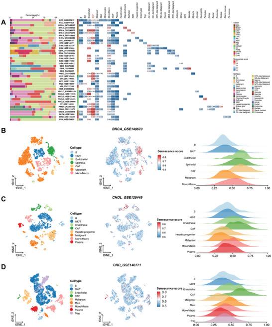 https://cdn.ncbi.nlm.nih.gov/pmc/blobs/1214/11831569/e5a3e756d222/ADVS-12-2406624-g001.jpg