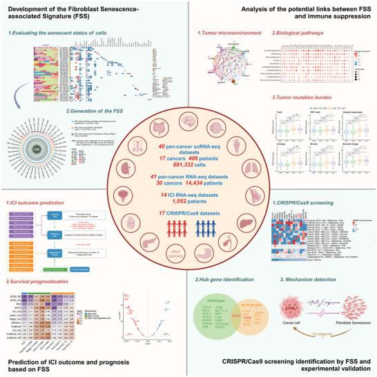 https://cdn.ncbi.nlm.nih.gov/pmc/blobs/1214/11831569/fbe46d2e2ddb/ADVS-12-2406624-g009.jpg