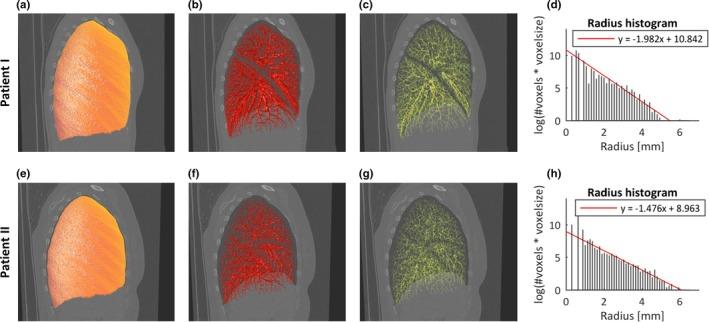 https://cdn.ncbi.nlm.nih.gov/pmc/blobs/1214/6852650/1cf9900bf3d5/MP-46-3985-g005.jpg