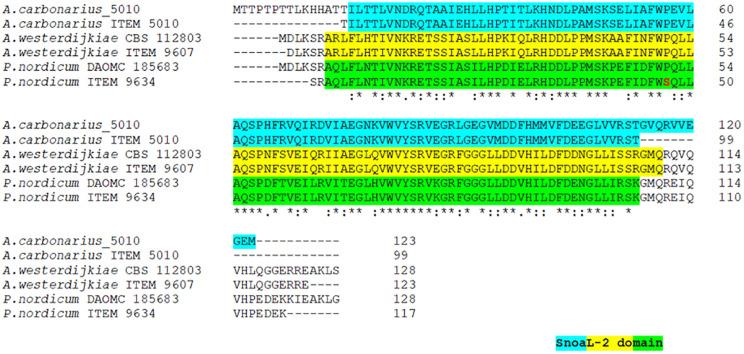 https://cdn.ncbi.nlm.nih.gov/pmc/blobs/1216/7775548/9bd965389fab/fmicb-11-581309-g003.jpg