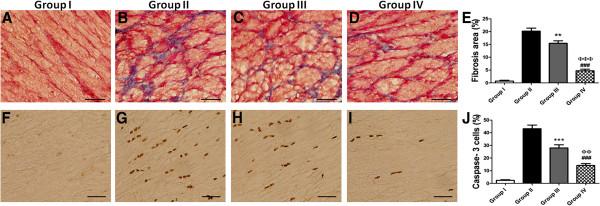 https://cdn.ncbi.nlm.nih.gov/pmc/blobs/1217/3707006/93080170cc5d/scrt207-7.jpg