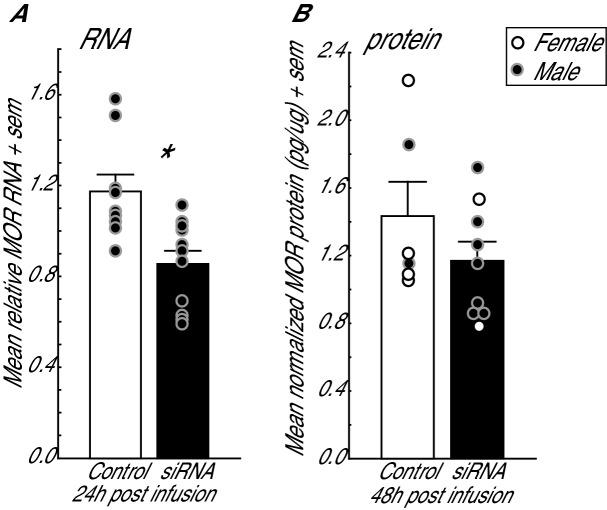 https://cdn.ncbi.nlm.nih.gov/pmc/blobs/1217/7338348/5203d38d6681/41598_2020_67684_Fig2_HTML.jpg