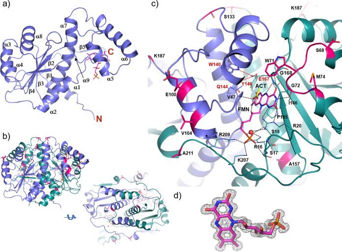 https://cdn.ncbi.nlm.nih.gov/pmc/blobs/1217/8941942/98cbf90c5c5f/spectrum.00139-22-f004.jpg