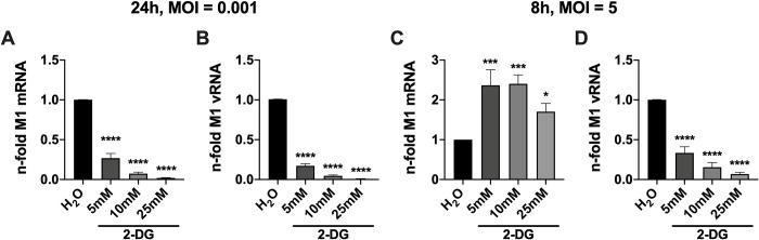 https://cdn.ncbi.nlm.nih.gov/pmc/blobs/1218/10343032/2e87e7107261/ppat.1010986.g003.jpg