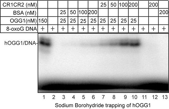 https://cdn.ncbi.nlm.nih.gov/pmc/blobs/1218/4414141/c5bac7780db9/oncotarget-06-3613-g006.jpg