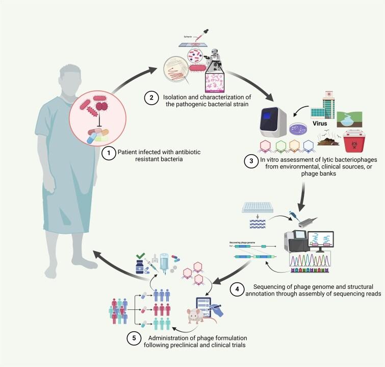 https://cdn.ncbi.nlm.nih.gov/pmc/blobs/1219/12302716/1188614b09a9/elaf011f2.jpg