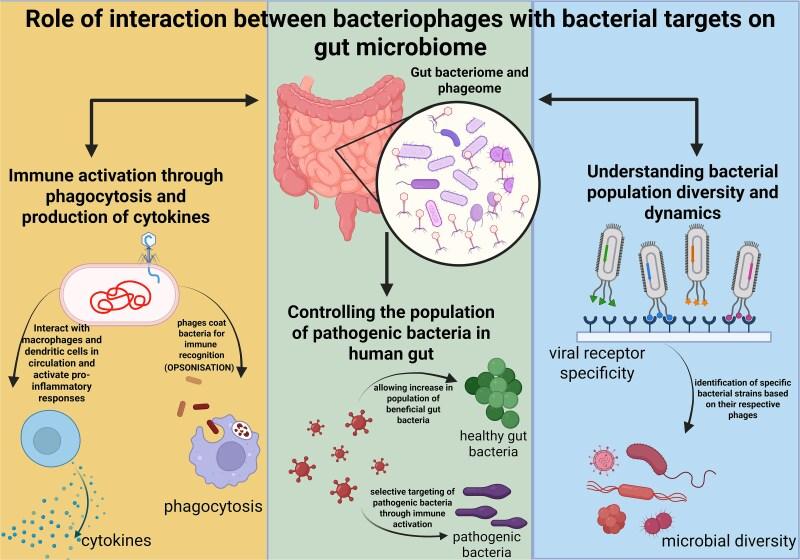 https://cdn.ncbi.nlm.nih.gov/pmc/blobs/1219/12302716/38defd6701a2/elaf011f3.jpg