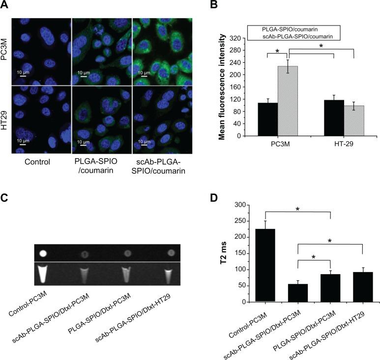 https://cdn.ncbi.nlm.nih.gov/pmc/blobs/121a/3415325/81324f7bca24/ijn-7-4037f5.jpg