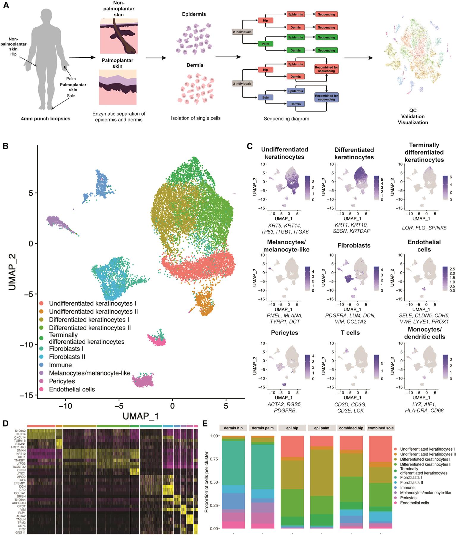 https://cdn.ncbi.nlm.nih.gov/pmc/blobs/121a/9939370/0766c6bf393d/nihms-1870534-f0003.jpg