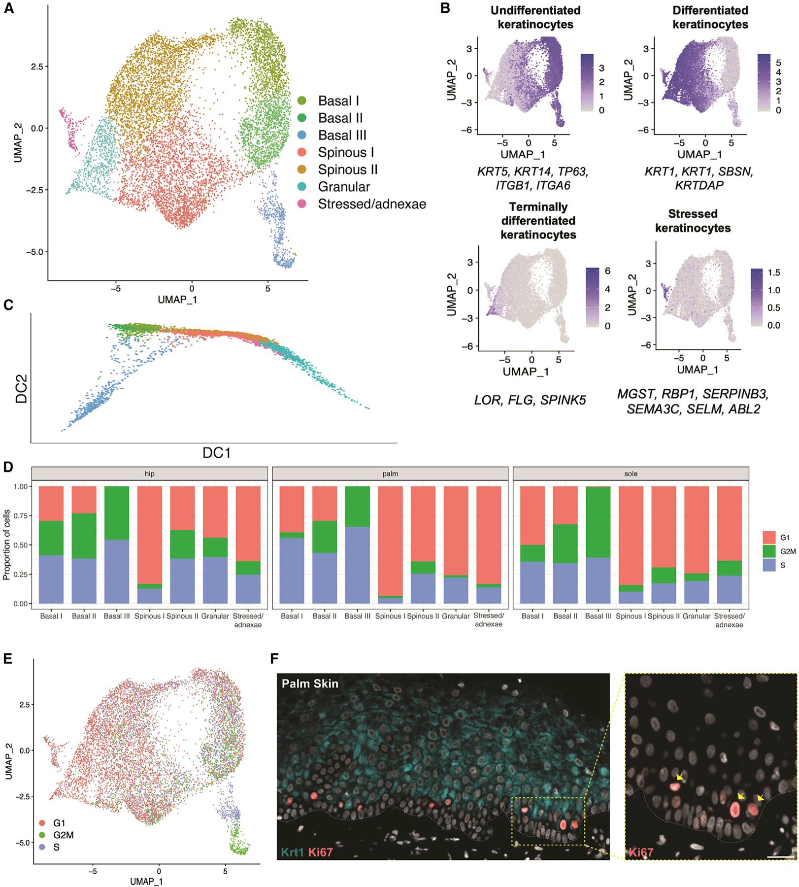 https://cdn.ncbi.nlm.nih.gov/pmc/blobs/121a/9939370/0f7f81cbb168/nihms-1870534-f0005.jpg