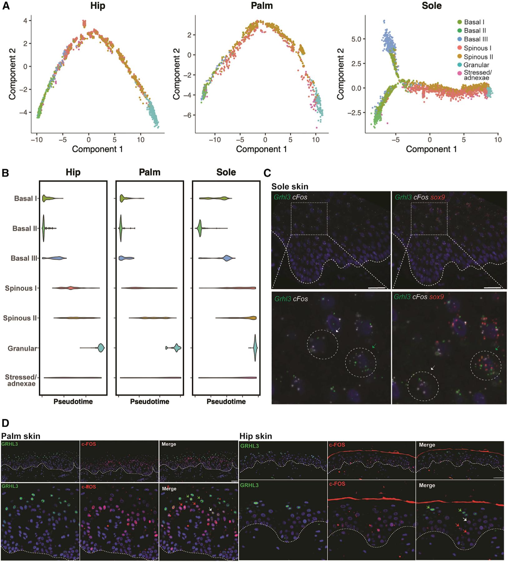 https://cdn.ncbi.nlm.nih.gov/pmc/blobs/121a/9939370/a316b5e0f045/nihms-1870534-f0008.jpg