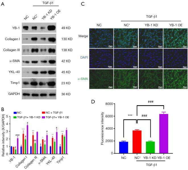 https://cdn.ncbi.nlm.nih.gov/pmc/blobs/121b/10113103/50d5abeb72a4/atm-11-06-259-f5.jpg