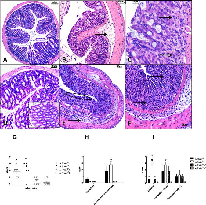 https://cdn.ncbi.nlm.nih.gov/pmc/blobs/121f/10110460/067ccd407fb8/41435_2023_199_Fig2_HTML.jpg