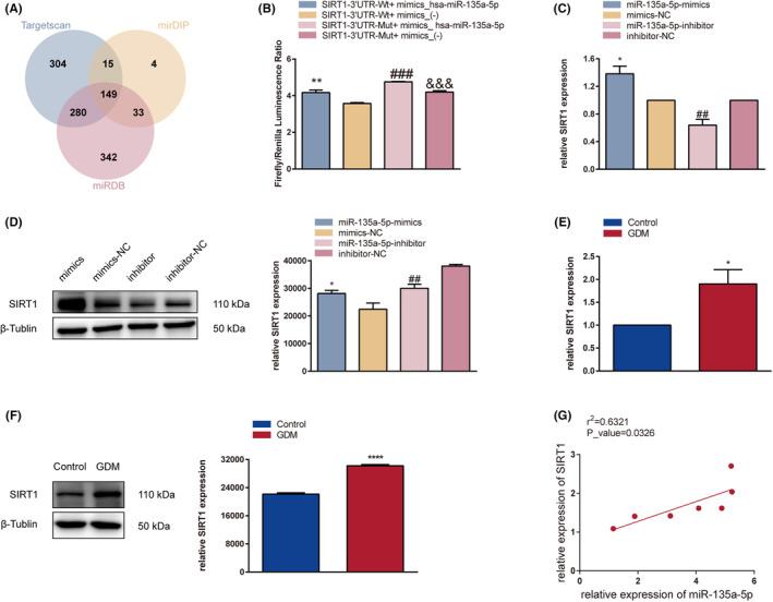 https://cdn.ncbi.nlm.nih.gov/pmc/blobs/1221/10718144/972966c9ea27/JCMM-27-3729-g008.jpg
