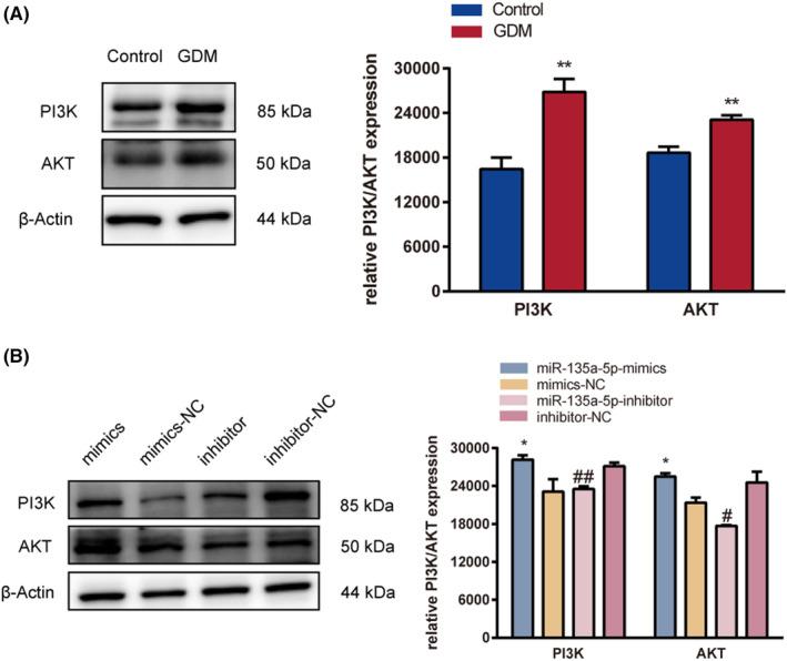 https://cdn.ncbi.nlm.nih.gov/pmc/blobs/1221/10718144/c7e8a63da601/JCMM-27-3729-g004.jpg