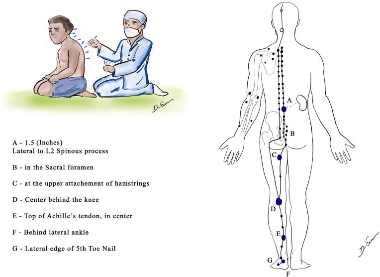 https://cdn.ncbi.nlm.nih.gov/pmc/blobs/1224/11130729/872772586365/gr5.jpg