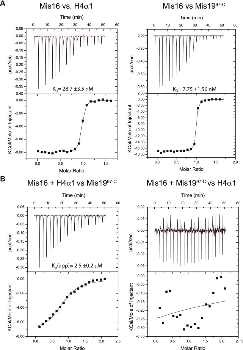 https://cdn.ncbi.nlm.nih.gov/pmc/blobs/1225/6677171/107154638c97/LSA-2019-00408_Fig3.jpg