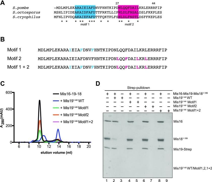 https://cdn.ncbi.nlm.nih.gov/pmc/blobs/1225/6677171/d7709adbf71c/LSA-2019-00408_Fig7.jpg