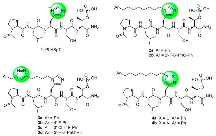 https://cdn.ncbi.nlm.nih.gov/pmc/blobs/1226/6515314/0bec009bcd66/molecules-24-01488-g001.jpg