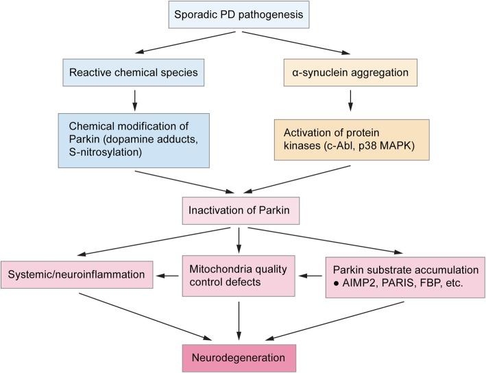 https://cdn.ncbi.nlm.nih.gov/pmc/blobs/1226/7071653/2dca0d1e7cde/13024_2020_367_Fig2_HTML.jpg